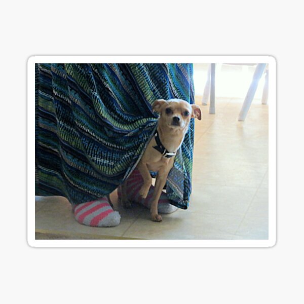 Item preview, Where's That Darn Cat. designed and sold by Diane Arndt.