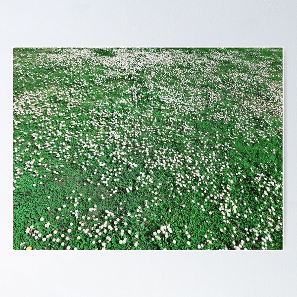 Item preview, Natural Green with white Flowers designed and sold by Dreammkd.