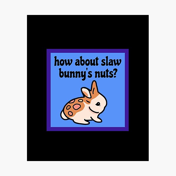 Artikelvorschau, Wie wäre es mit Slaw Bunnys Nuts | Lustiges Slawbunnies Nuts Gaming Meme entworfen und verkauft von wigobun.