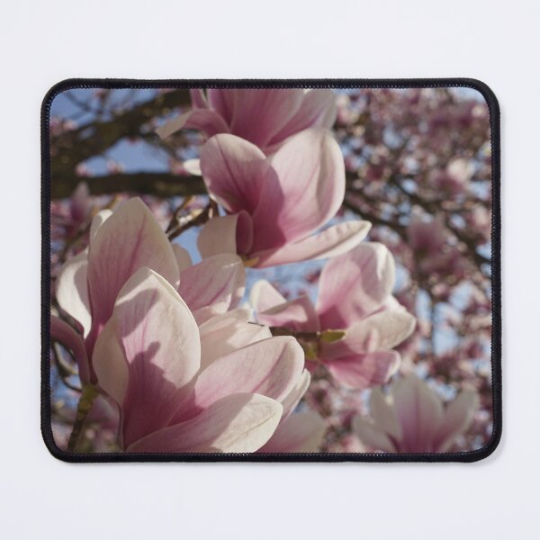 Item preview, An old magnolia tree in spring designed and sold by Yven-Dienst.