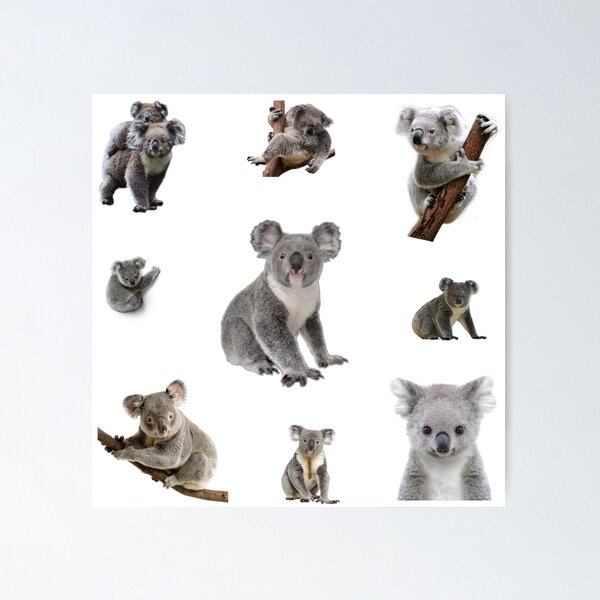 Item preview, Koala pack designed and sold by starseedgems.