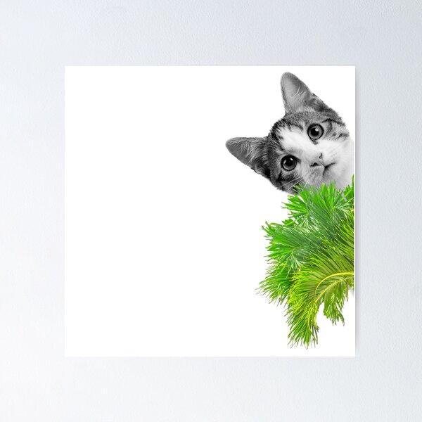 Item preview, Cute Sneaky Funny Cat - Cute Cat designed and sold by The Love Quill.