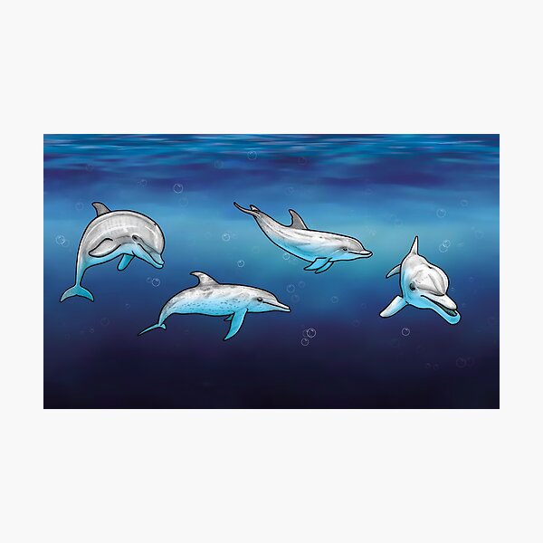 Item preview, Pencil Pod of Dolphins - I designed and sold by ShorelineSally.