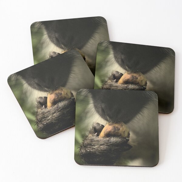 Item preview, Vervet Monkey Eating - Animal lovers photography designed and sold by artyfartypants.