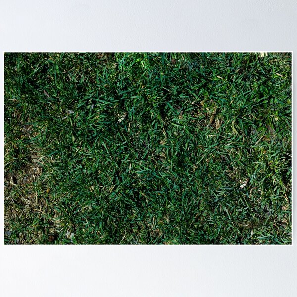Item preview, Grass Pattern designed and sold by viknitov.