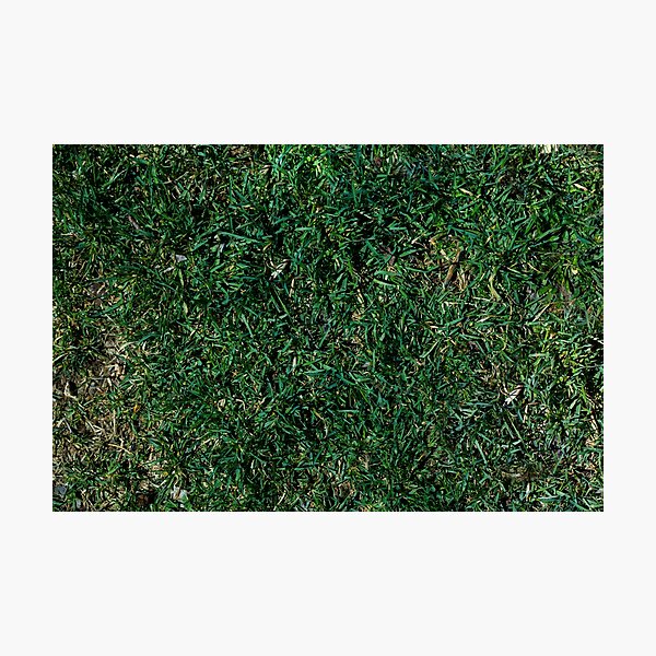 Item preview, Grass Pattern designed and sold by viknitov.