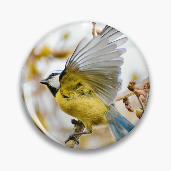 Item preview, Blue Tit designed and sold by noahjpphotos.