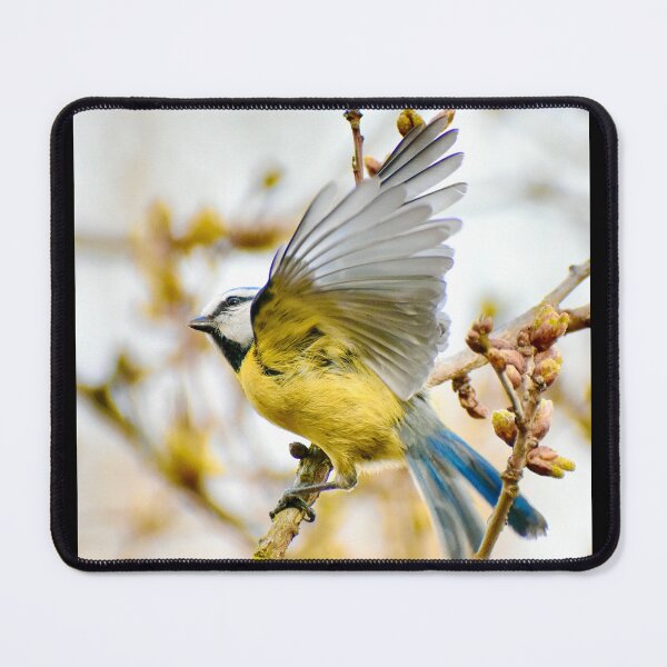 Item preview, Blue Tit designed and sold by noahjpphotos.