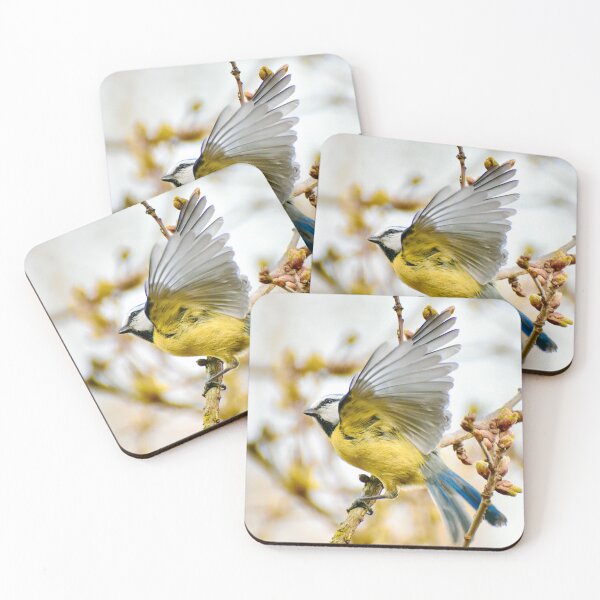 Item preview, Blue Tit designed and sold by noahjpphotos.
