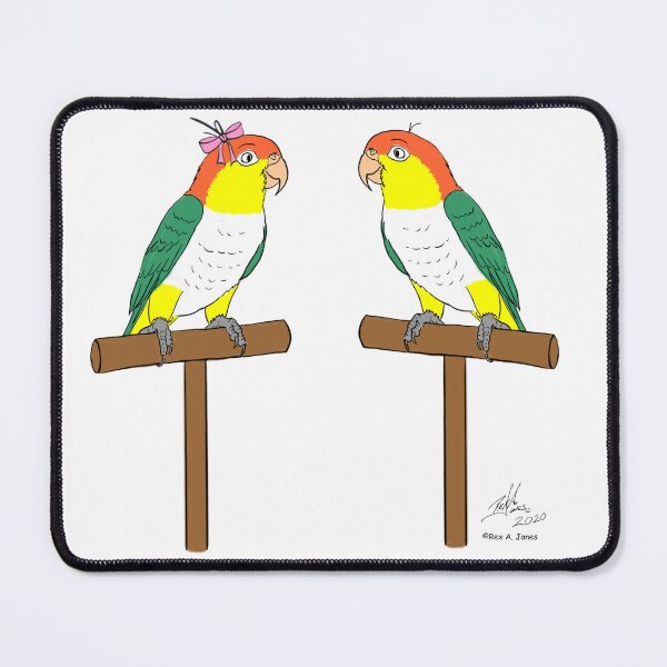Item preview, Crazy Bird Man with White Bellied Caiques designed and sold by Laughing Parrot Studio.