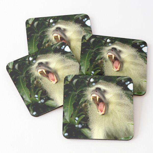 Item preview, Yawn, Monkey, Monkey Yawning - Animal lovers photography designed and sold by artyfartypants.