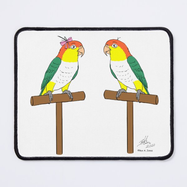 Item preview, Crazy Bird Person with White Bellied Caiques designed and sold by Laughing Parrot Studio.