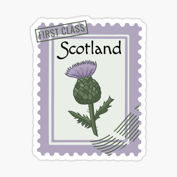 Scotland Thistle Flower Postage Stamp Sticker