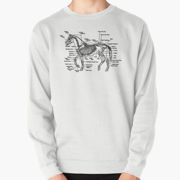 Item preview, Horse Anatomy Skeleton designed and sold by clarafornia.
