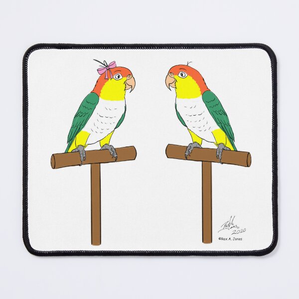 Item preview, Crazy Bird Lady with White Bellied Caiques designed and sold by Laughing Parrot Studio.