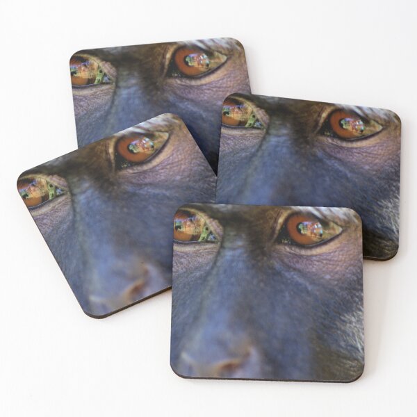Item preview, Eyes, Monkey, Monkey eyes - Animal lovers photography designed and sold by artyfartypants.