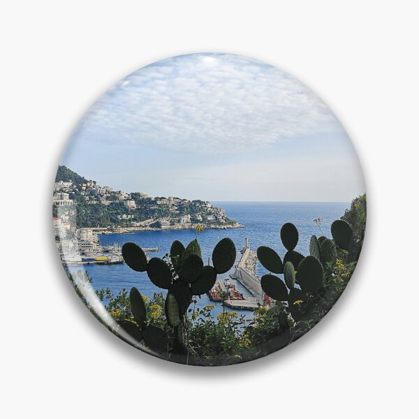 Aperçu de l'œuvre Paysage de cactus et front de mer à Nice créée et vendue par NinthOfSilver.