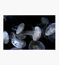 Night swim Photographic Print