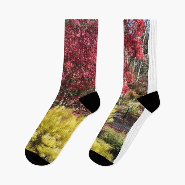 Item preview, Autumn Colors in Nature designed and sold by Allen Penton.