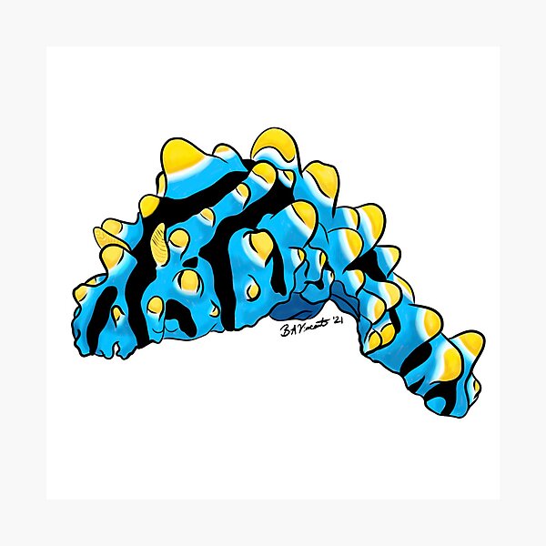 Item preview, Blue and Yellow sea slug/nudibranch designed and sold by Bridget Vincent.