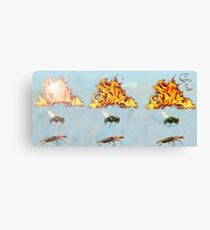 Fire Fly Firefly Canvas Print