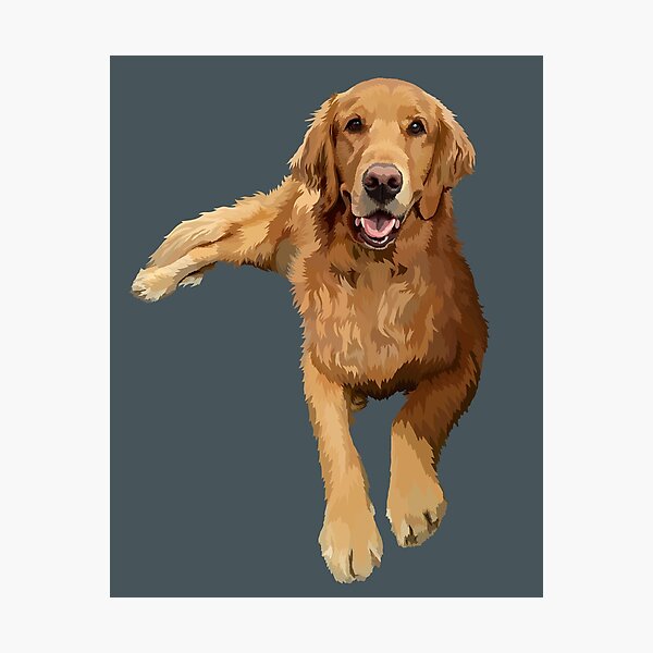 Item preview, Tucker designed and sold by Kat's Dogs.