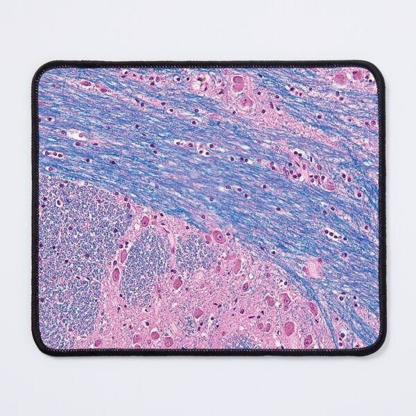 Item preview, Pons Histology designed and sold by deltoid.