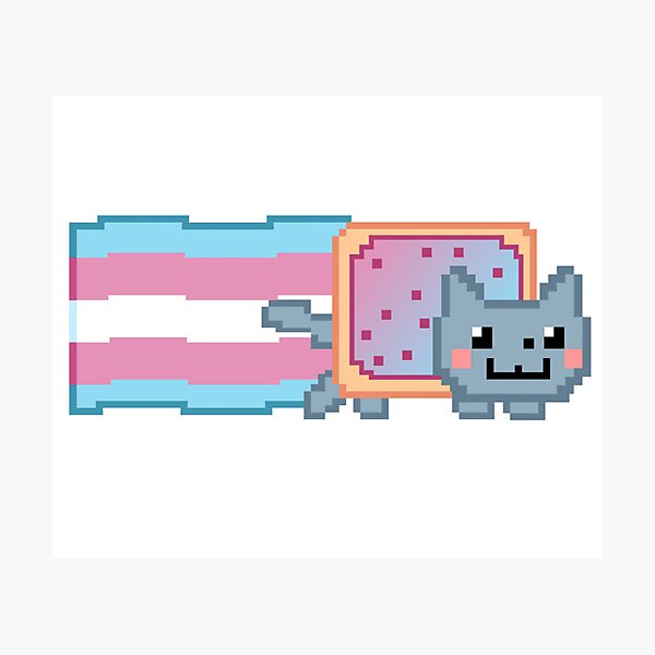 Item preview, Poptart Cat Trans Pride designed and sold by MaggieWolff24.