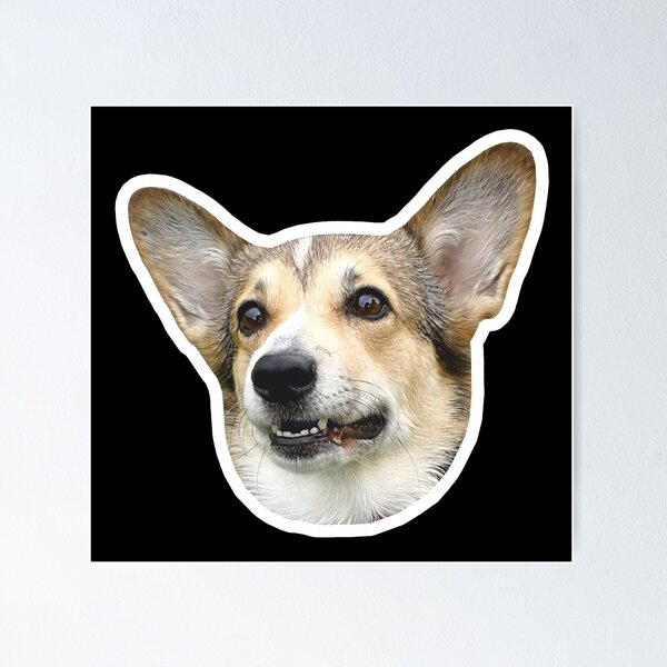 Item preview, Concerned Corgi designed and sold by AmaiiDesigns.