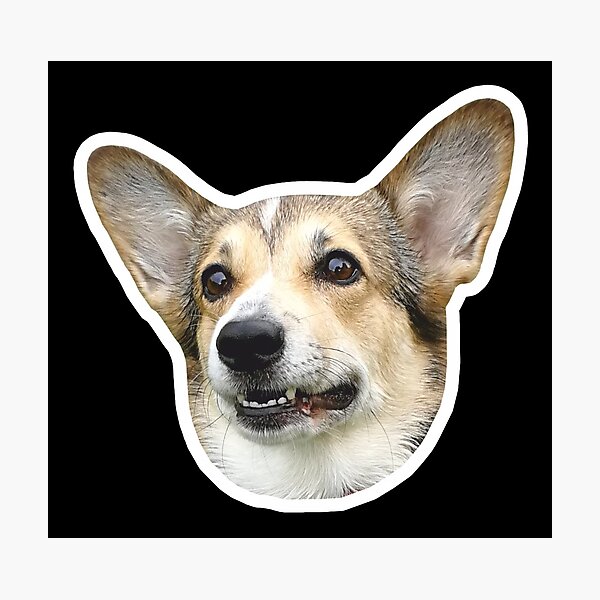 Item preview, Concerned Corgi designed and sold by AmaiiDesigns.
