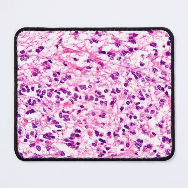 Item preview, Pineal Gland Histology designed and sold by deltoid.