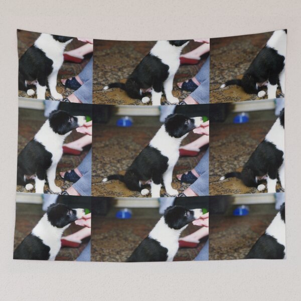 Item preview, Puppy Indy designed and sold by Michael Haslam.