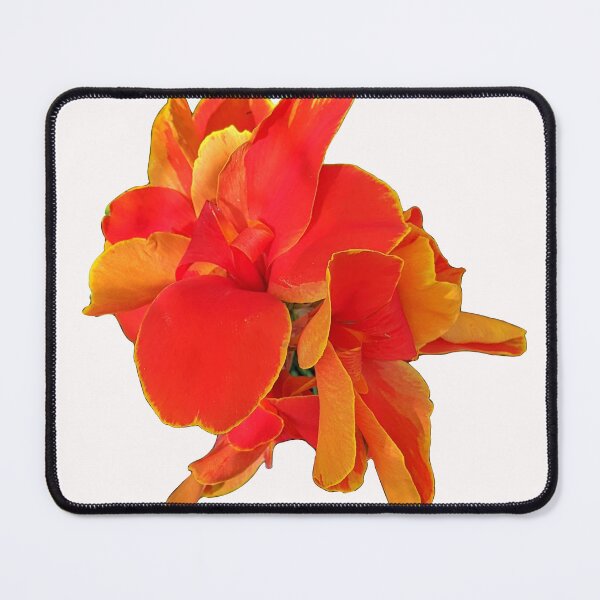 Item preview, Rosemond Cole Canna on White designed and sold by Shapes-Mania.