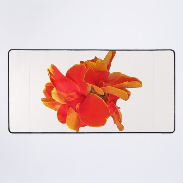 Item preview, Rosemond Cole Canna on White designed and sold by Shapes-Mania.