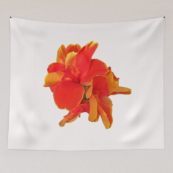 Item preview, Rosemond Cole Canna on White designed and sold by Shapes-Mania.