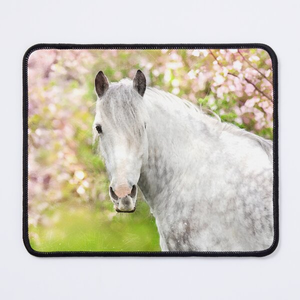 Item preview, Spring Horse designed and sold by horseymj1.