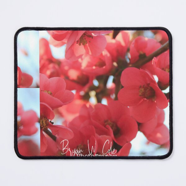 Item preview, Crabapple Color designed and sold by Bryan W. Cole.