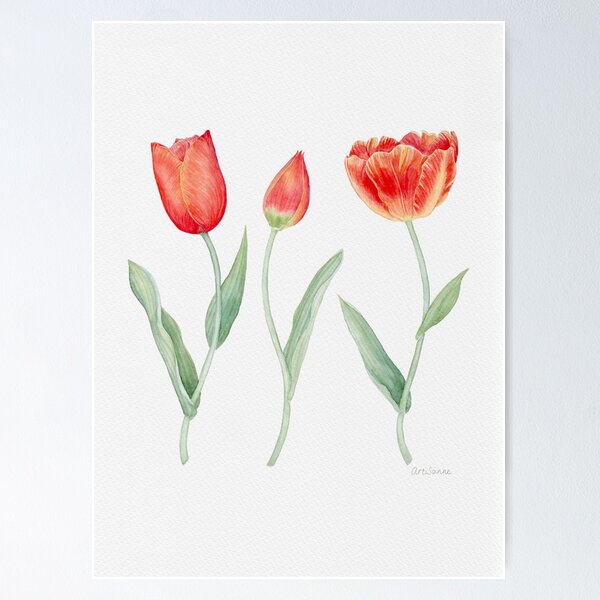Item preview, Red Tulips designed and sold by StudioArtisanne.