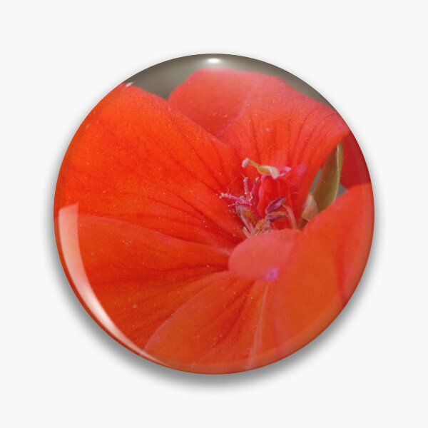 Item preview, Orange Geranium Flower - Photography by BranaghBel designed and sold by branaghbel.