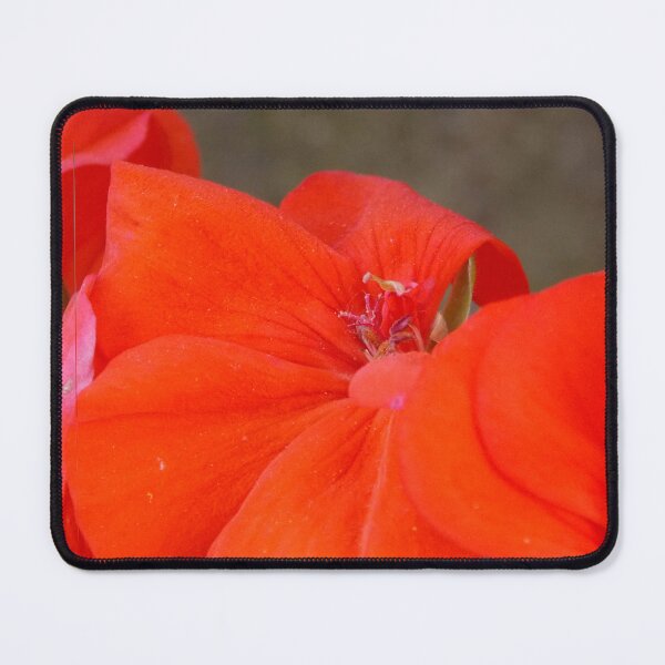 Item preview, Orange Geranium Flower - Photography by BranaghBel designed and sold by Branislava Tir .