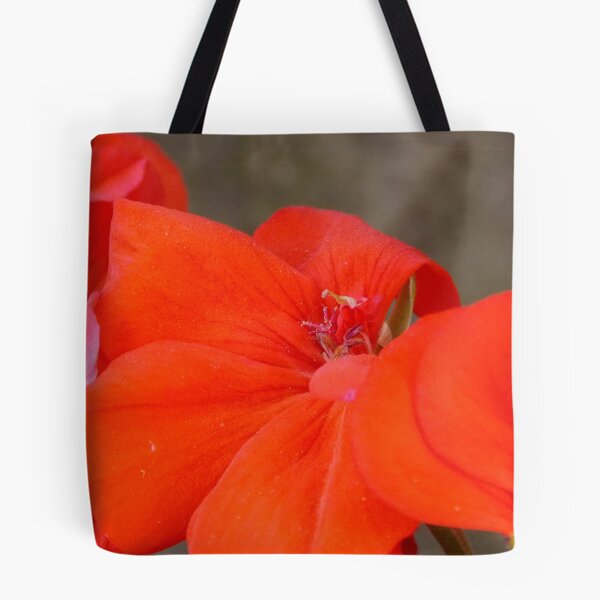 Item preview, Orange Geranium Flower - Photography by BranaghBel designed and sold by branaghbel.