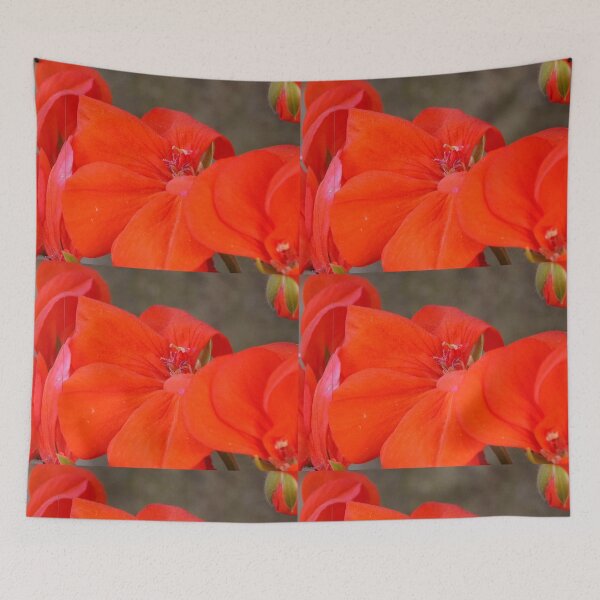 Item preview, Orange Geranium Flower - Photography by BranaghBel designed and sold by branaghbel.