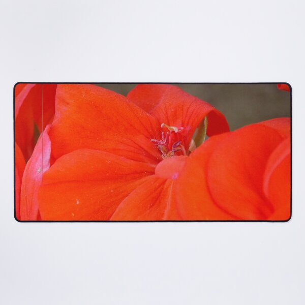 Item preview, Orange Geranium Flower - Photography by BranaghBel designed and sold by Branislava Tir .