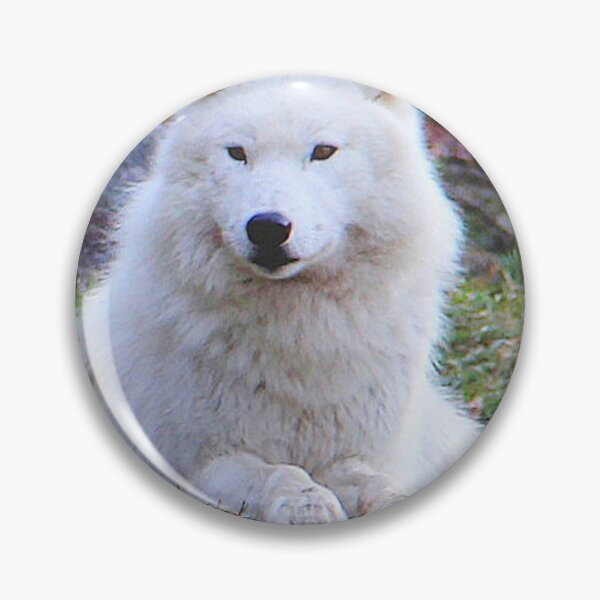 Artikelvorschau, Schöner Polarwolf entworfen und verkauft von vette.
