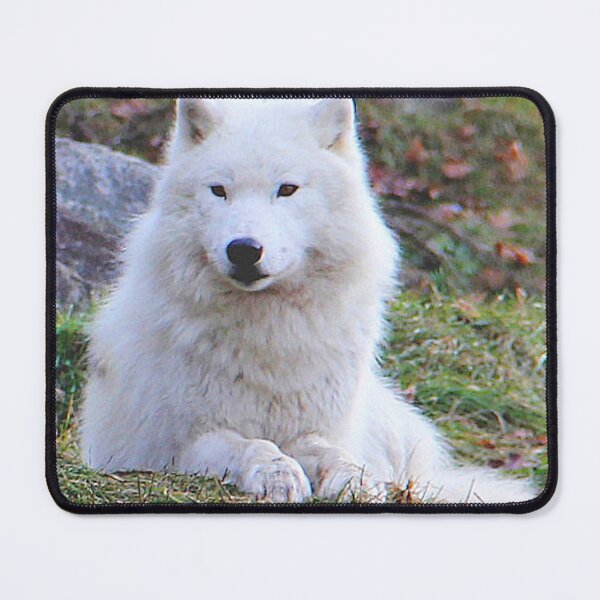 Item preview, Beautiful Arctic Wolf designed and sold by vette.