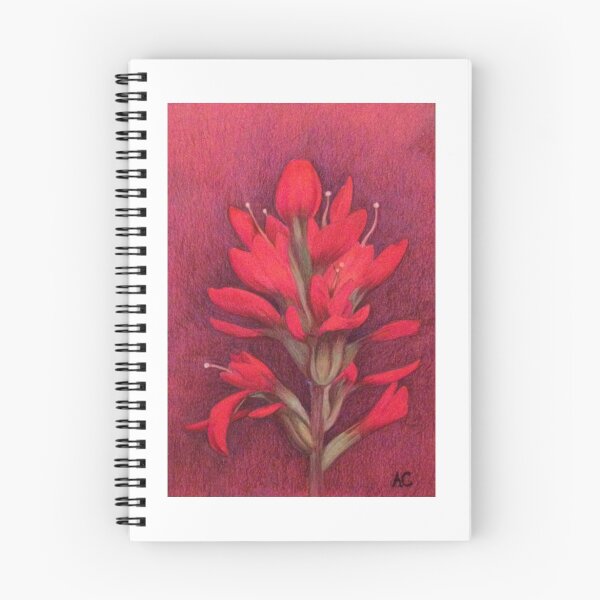 Item preview, Indian Paintbrush designed and sold by WyoClements.