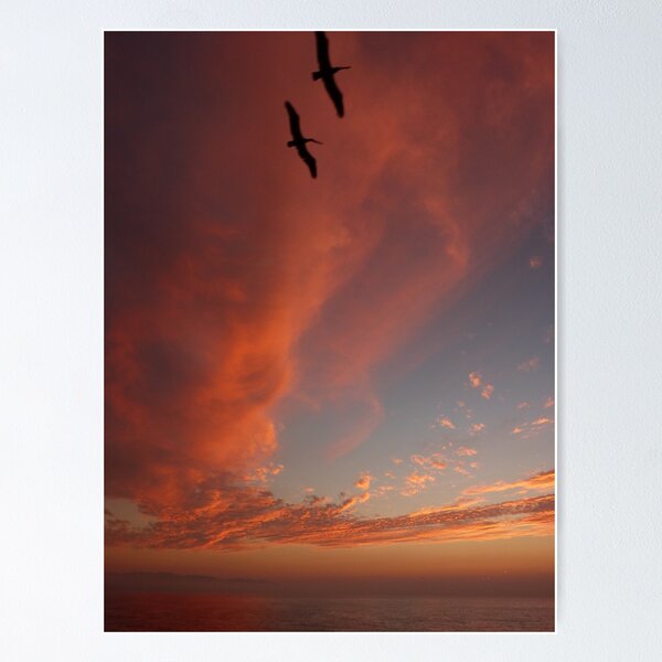 Item preview, atardecer con pelícanos designed and sold by Bernhard Matejka.