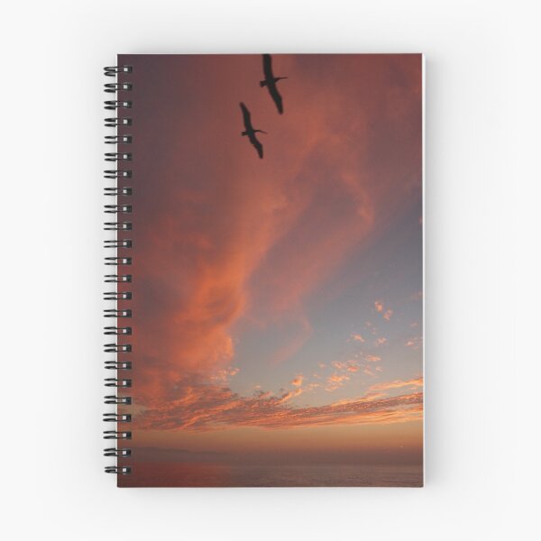Item preview, atardecer con pelícanos designed and sold by Bernhard Matejka.