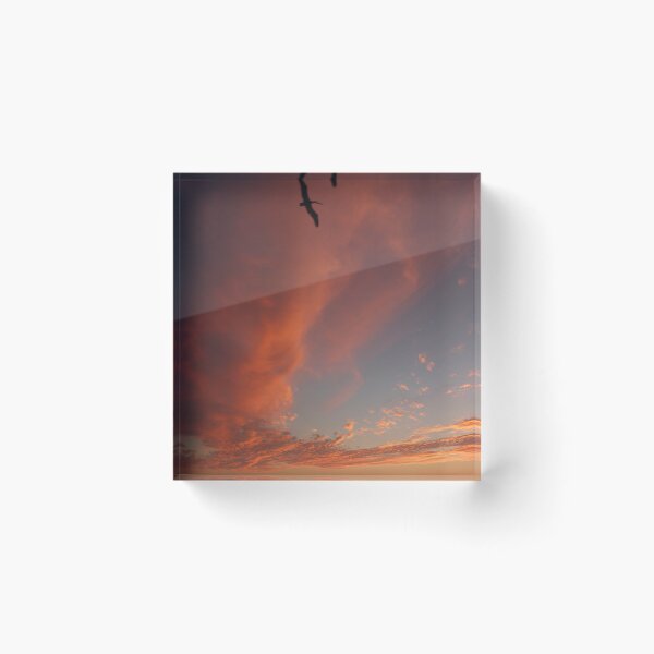 Item preview, atardecer con pelícanos designed and sold by Bernhard Matejka.
