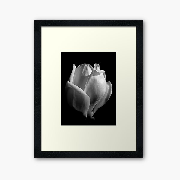 Item preview, Purity designed and sold by Globalphotos.